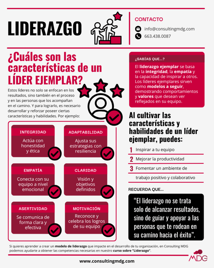 Infografía sobre el liderazgo | Imagen hecha por Consulting MDG, en Canva.