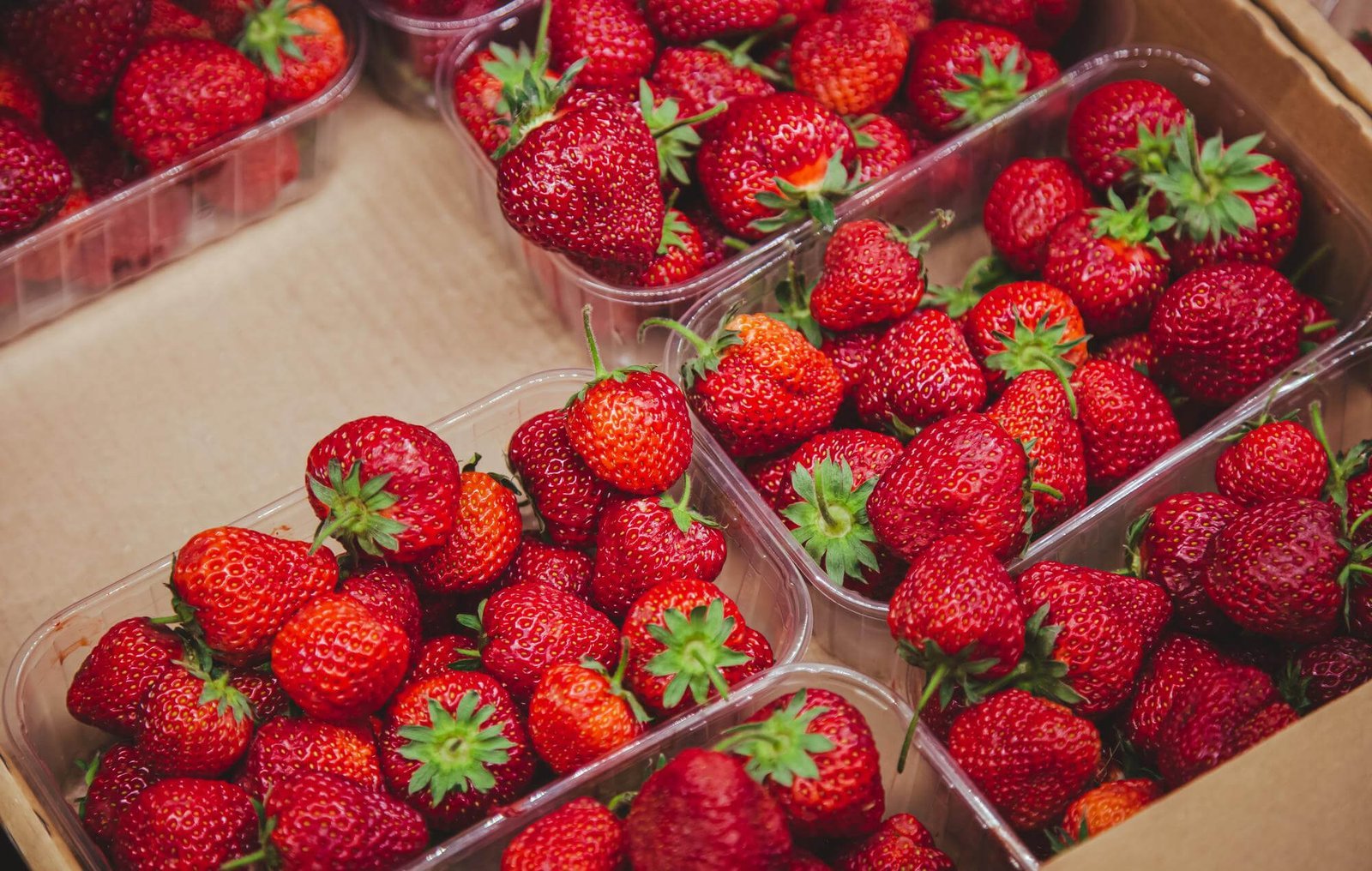 Fresas frescas en mostrador de supermercado | Imagen desde freepik, por pvproductions
