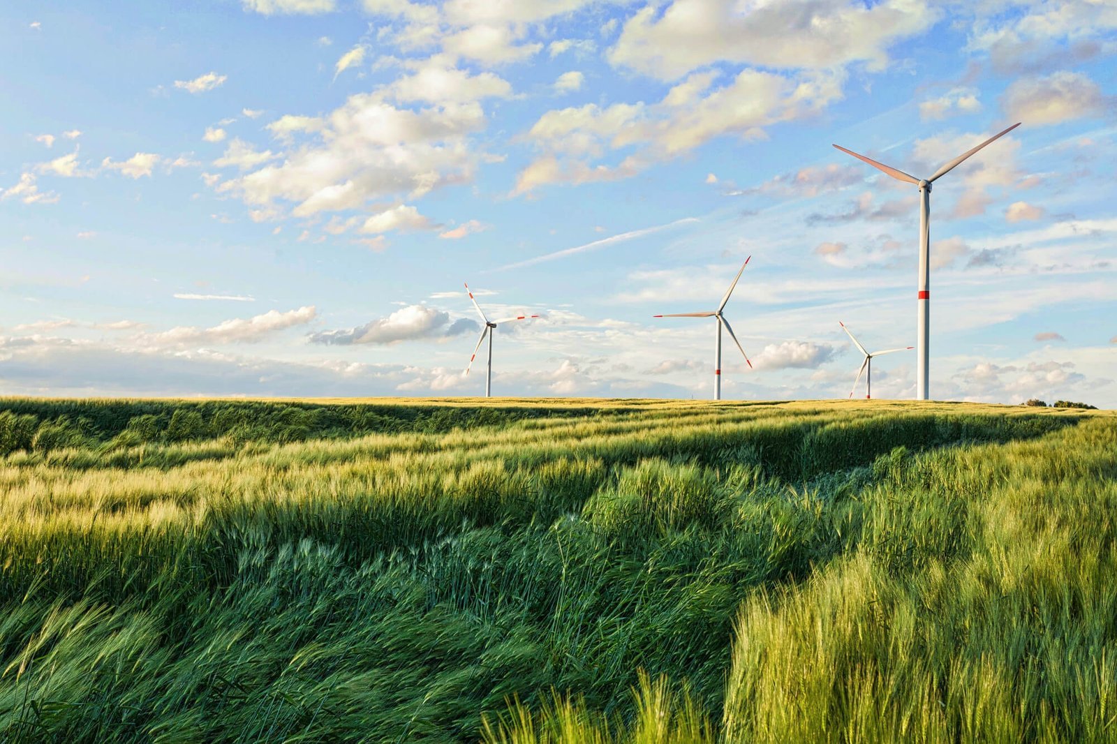 Campo de turbinas eólicas | Imagen desde freepik, por wirestock